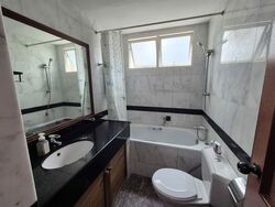 The Tropica (D18), Condominium #542745661